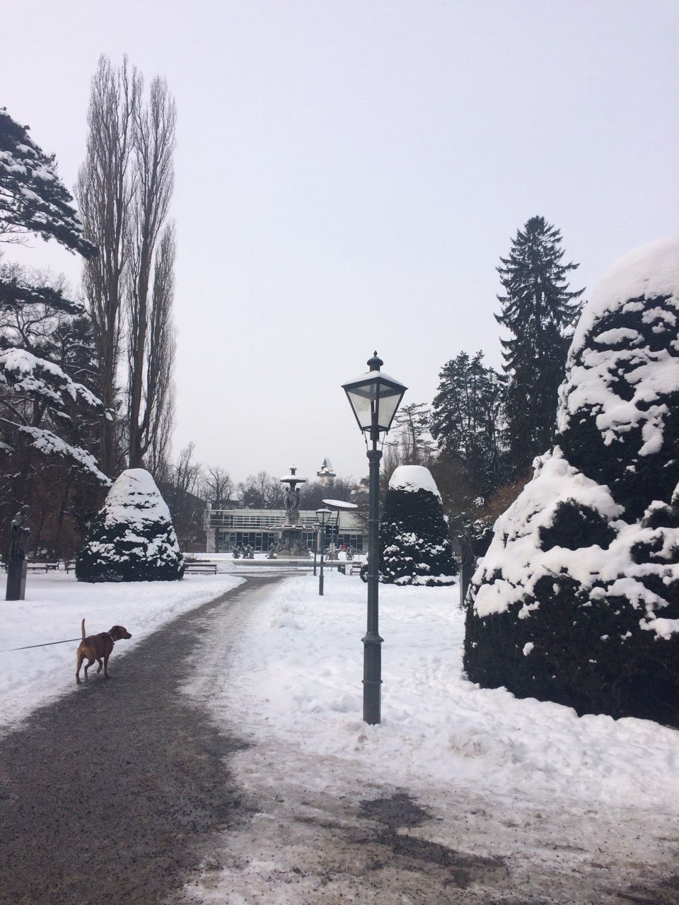 University College of Teacher Education Styria photo 1