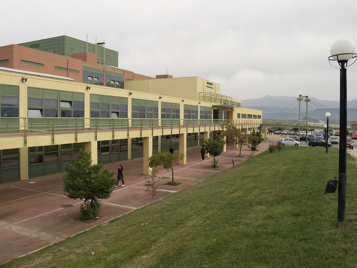 University of Ioannina photo 3