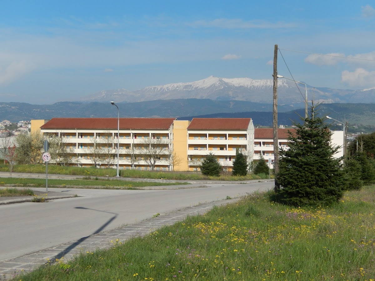 University of Ioannina photo 4