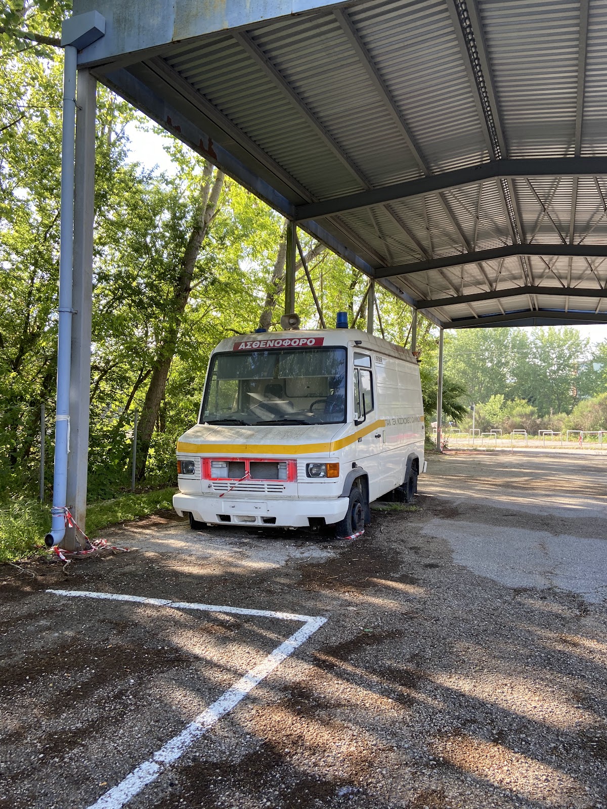 University of Ioannina photo 7