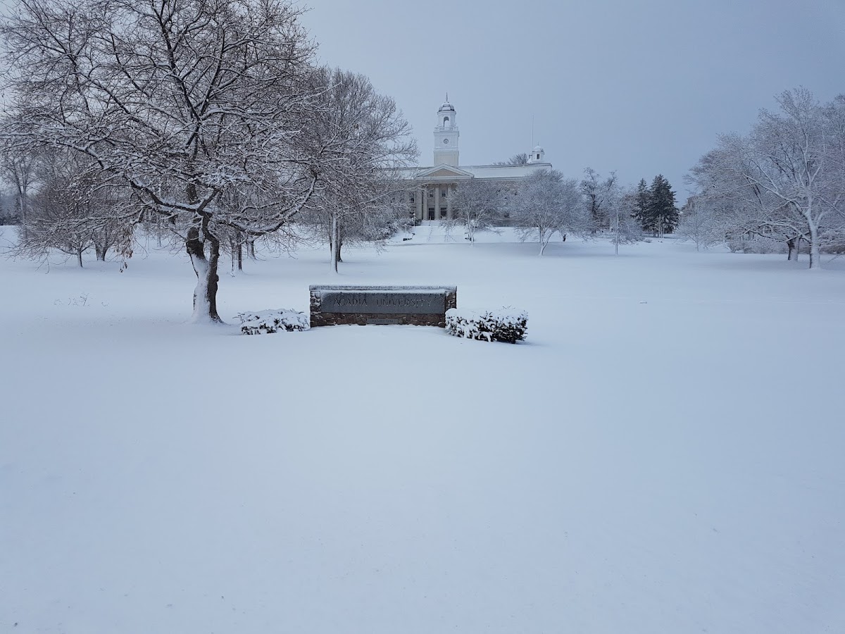 Acadia University photo 6