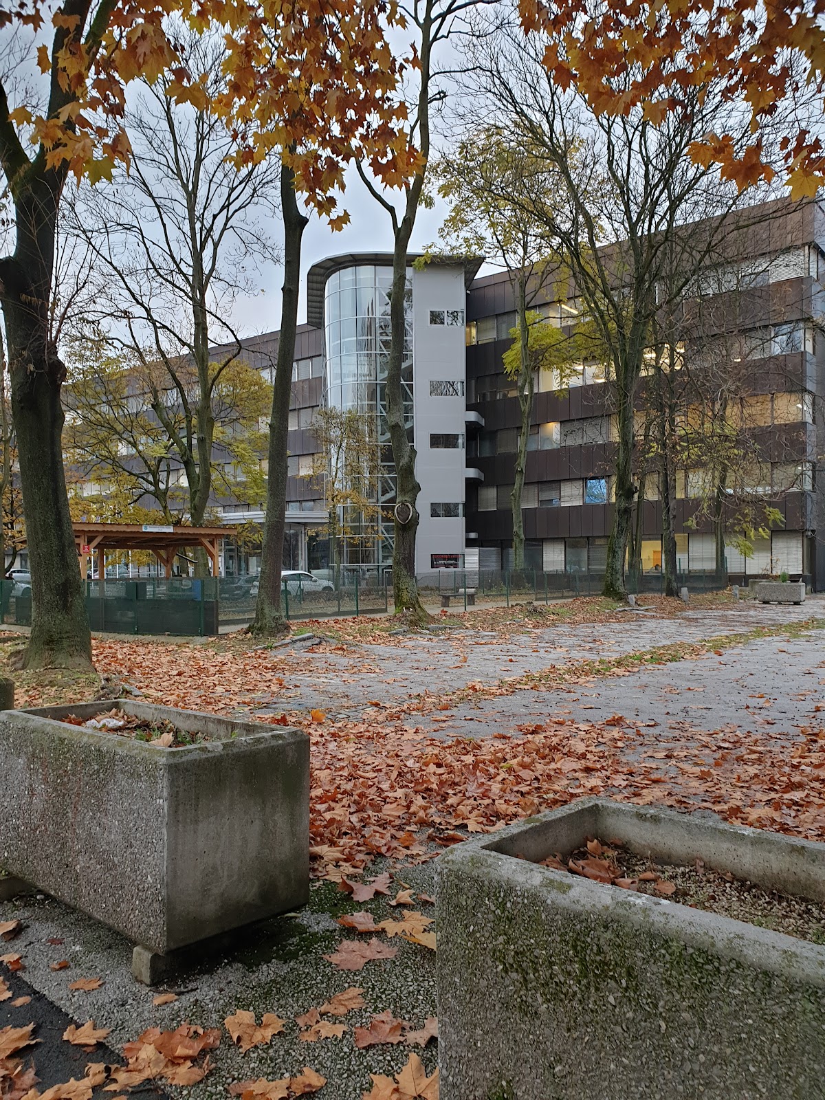 International School for Social and Business Studies photo 5