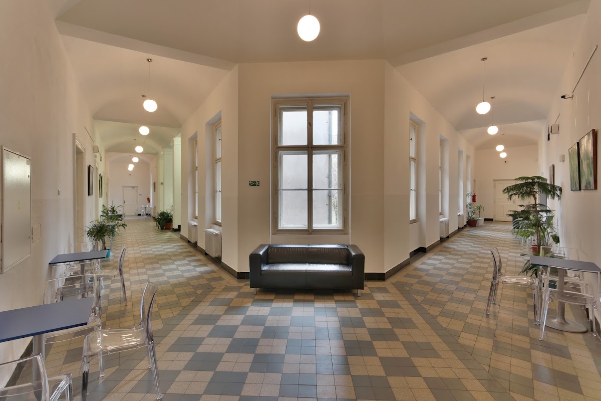 University of International and Public Relations Prague photo 3