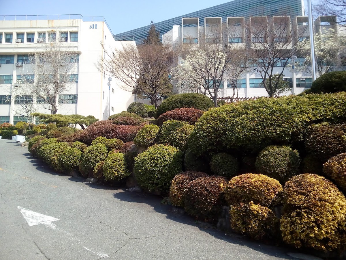 Dong-A University photo 7