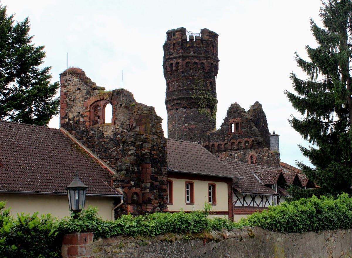 European Business School photo 5