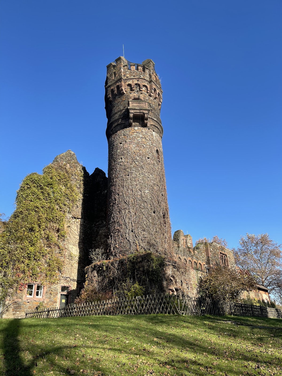 European Business School photo 9