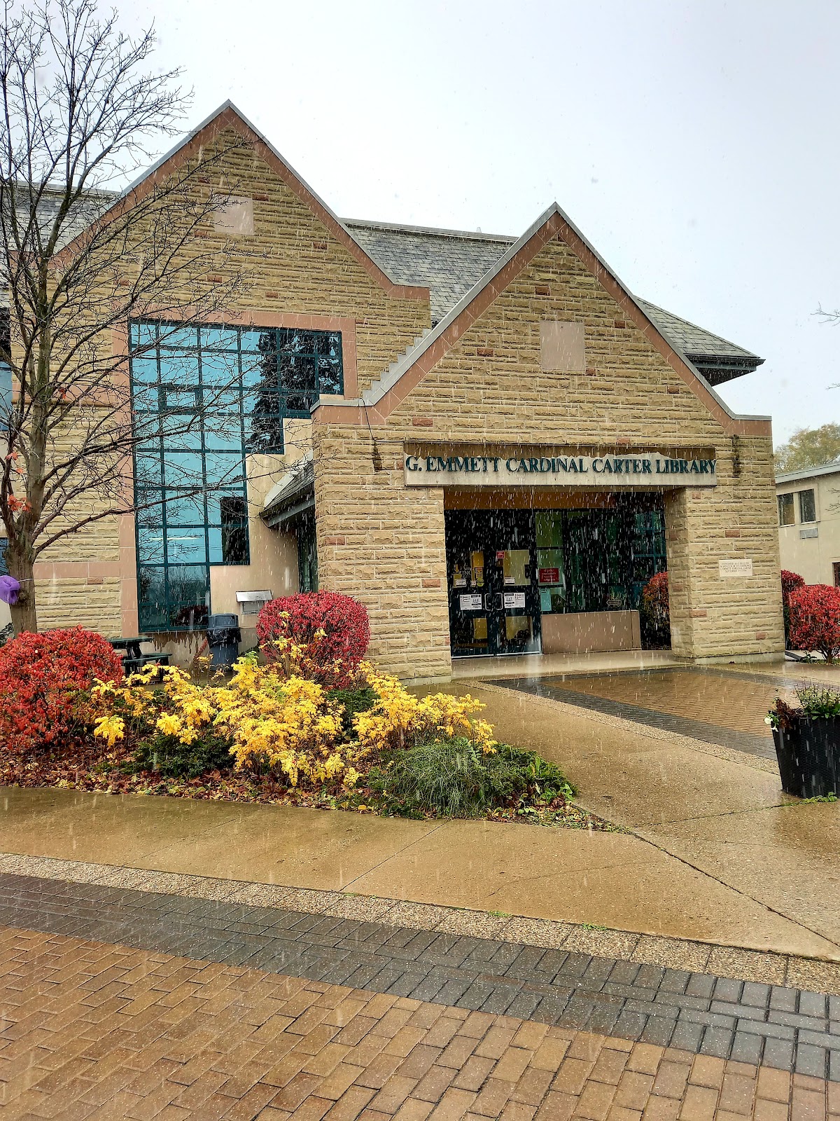 King's University College photo 8