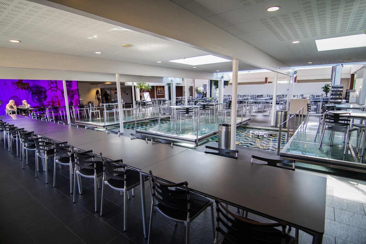 IBC International Business College photo 2