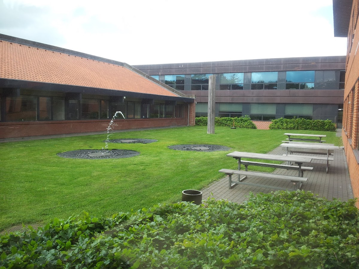 IBC International Business College photo 8