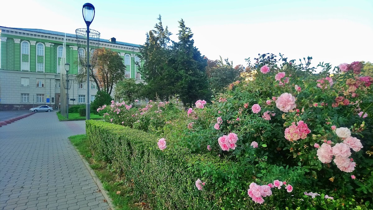 Ternopil National Medical University photo 3