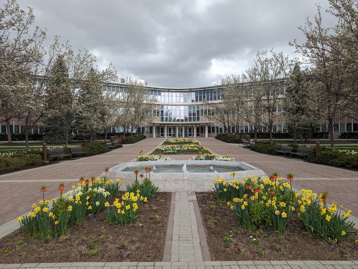 Brigham Young University photo 7