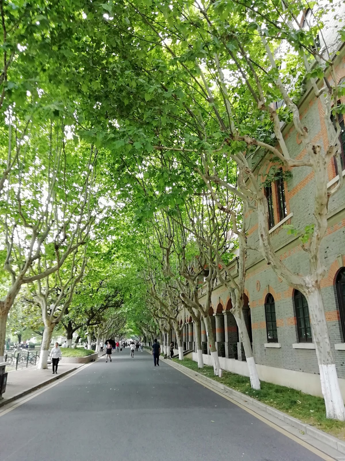 Shanghai Jiao Tong University photo 7