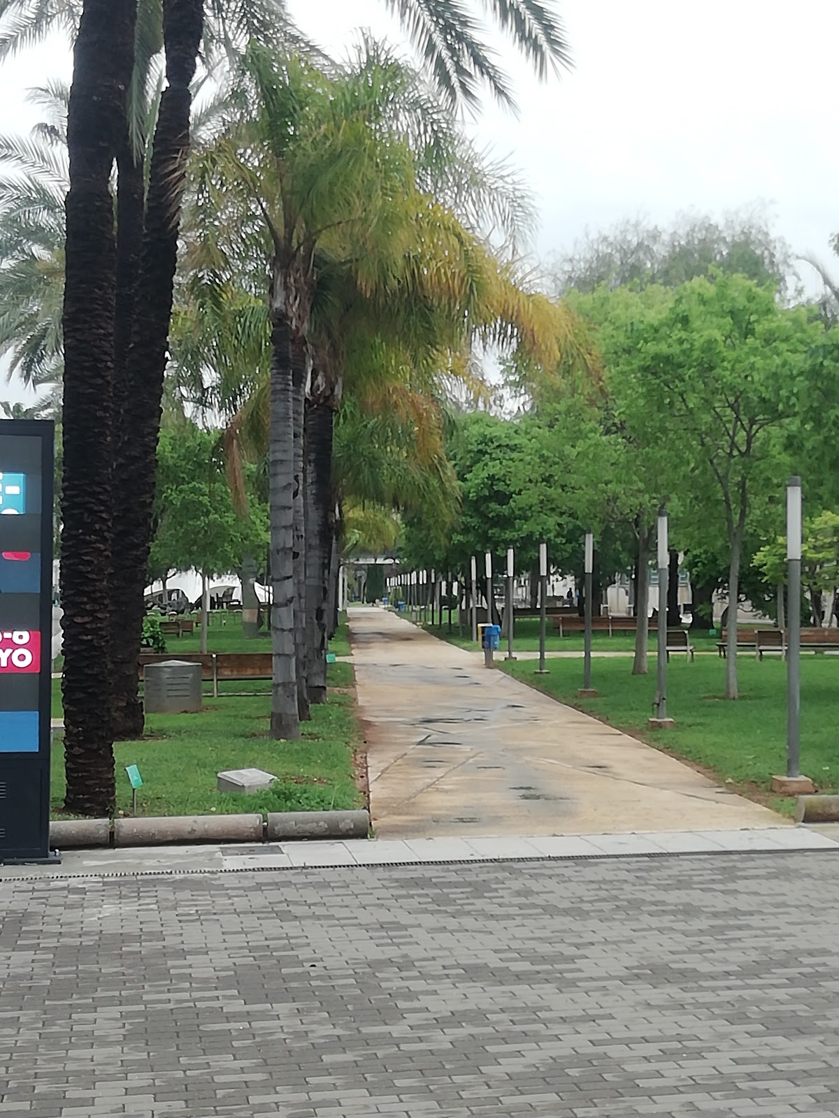 Polytechnic University of Valencia photo 8