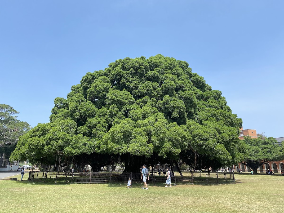 National Cheng Kung University photo 2