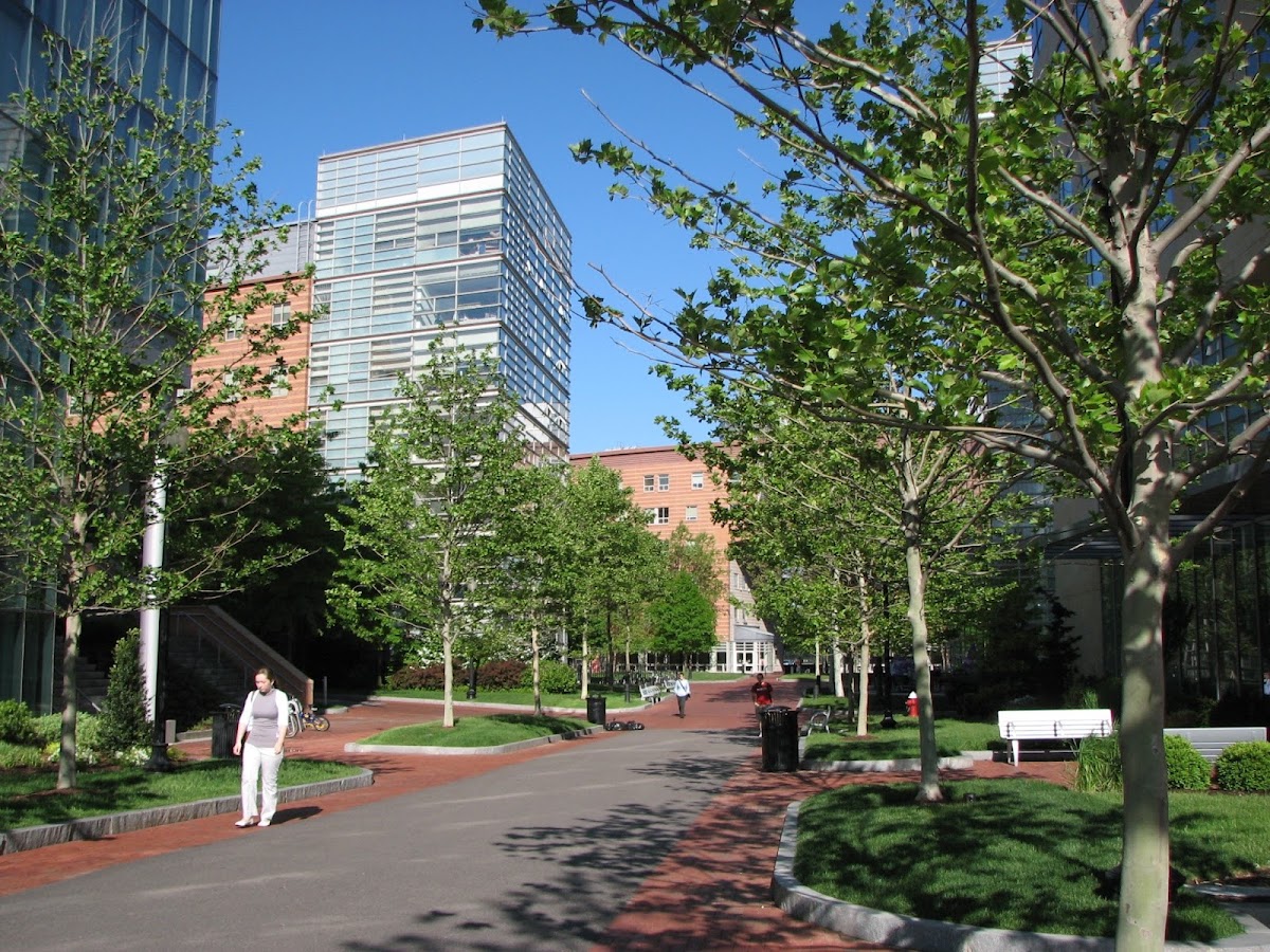 Northeastern University photo 6