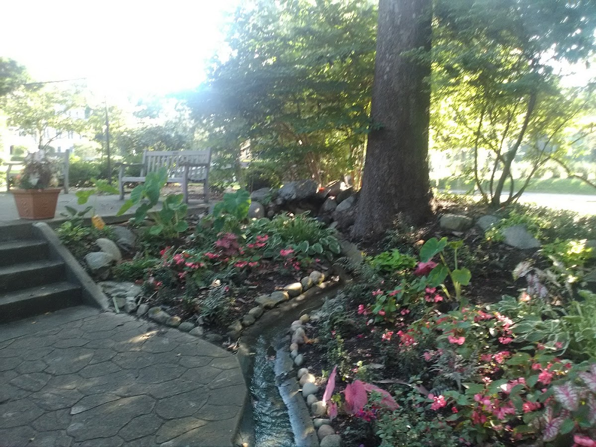 Saint Mary's College photo 8