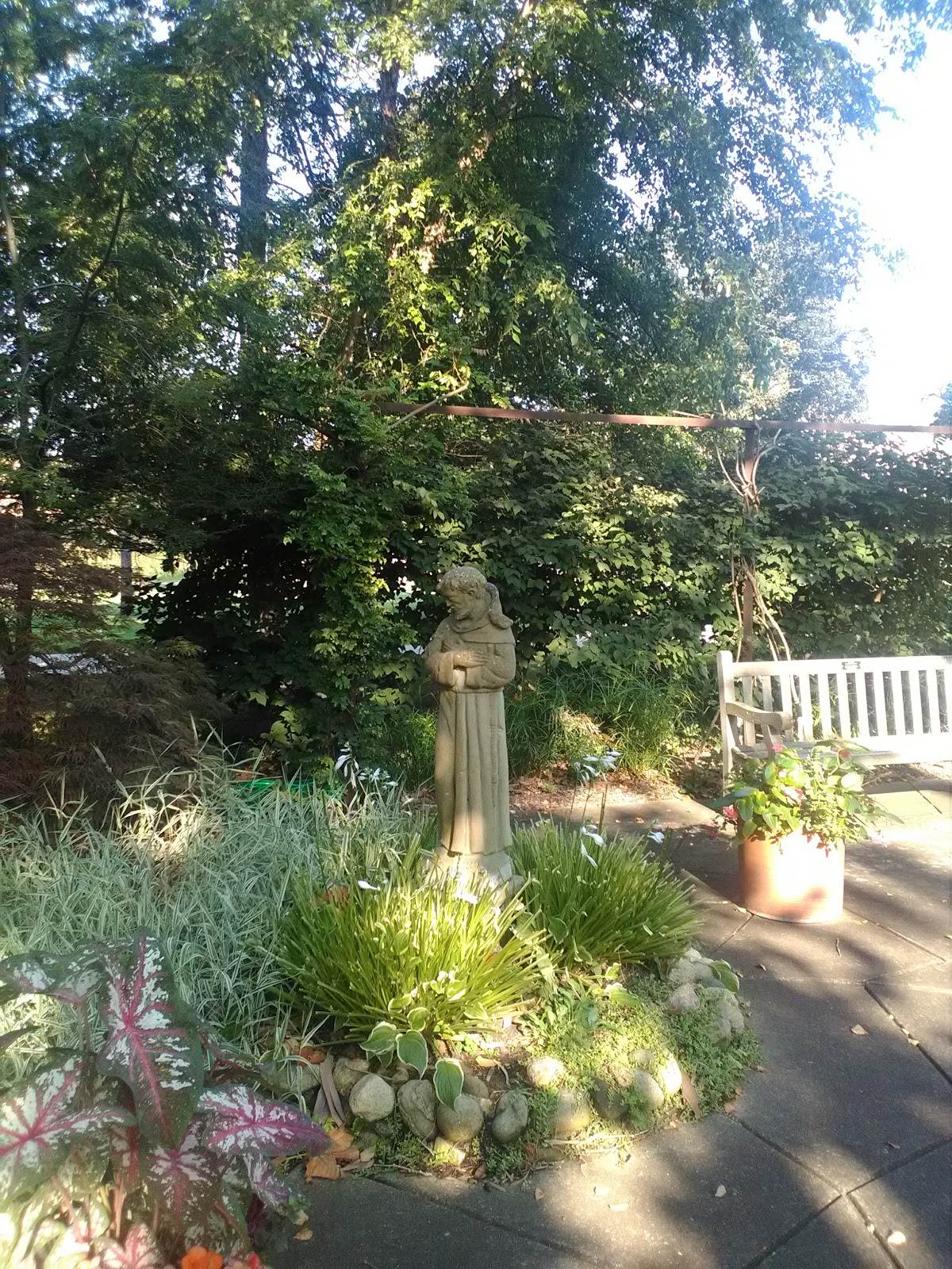 Saint Mary's College photo 9