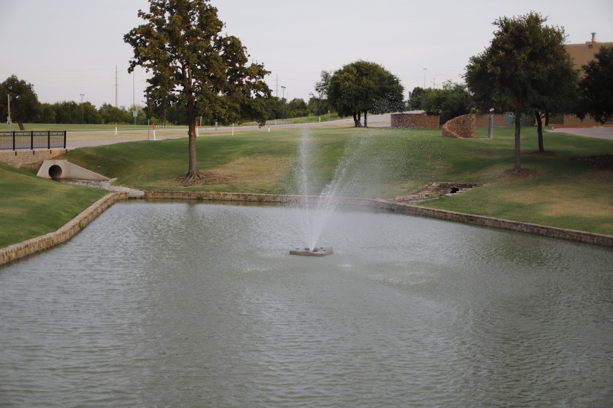 University of Dallas photo 3