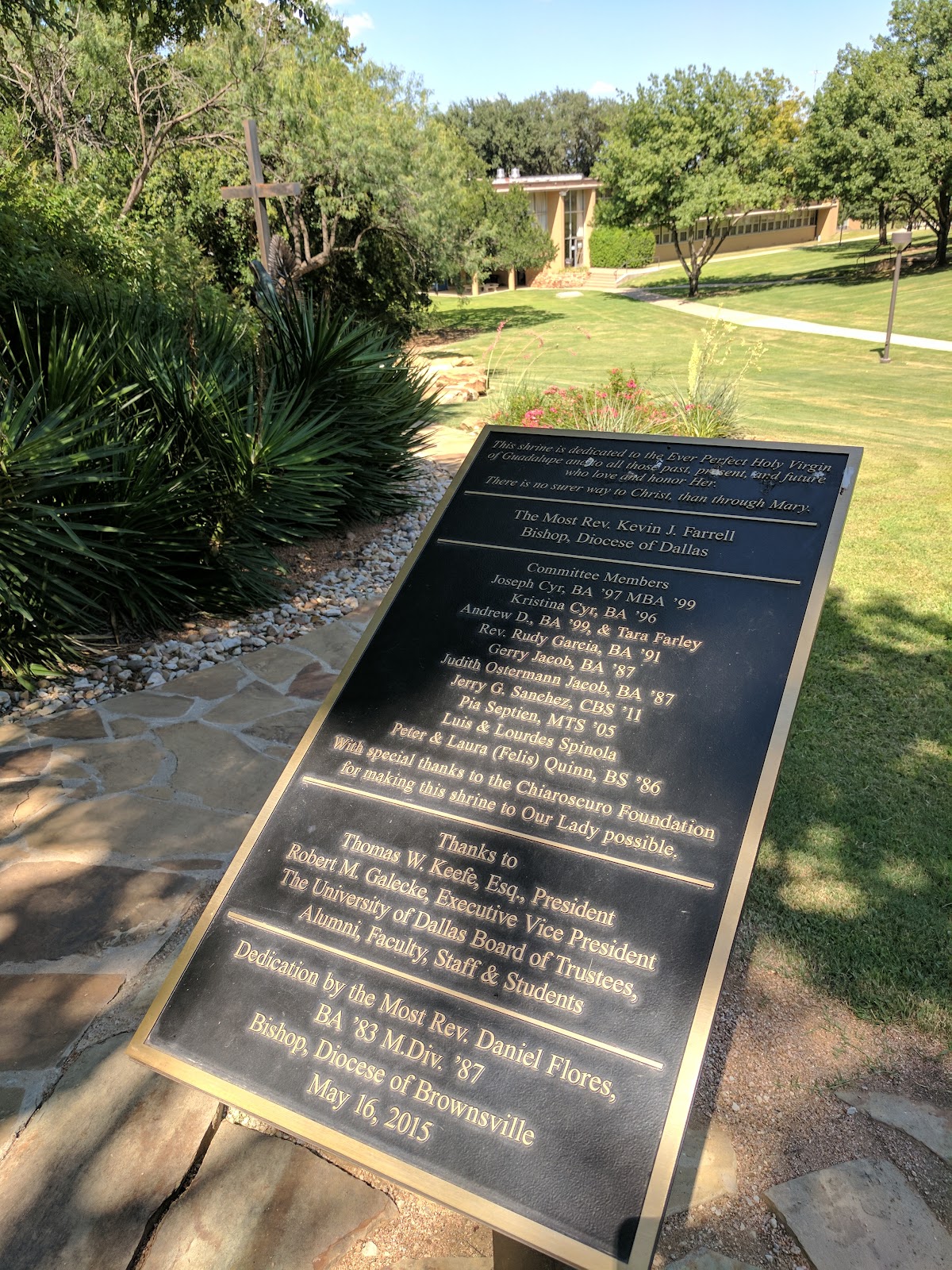 University of Dallas photo 8