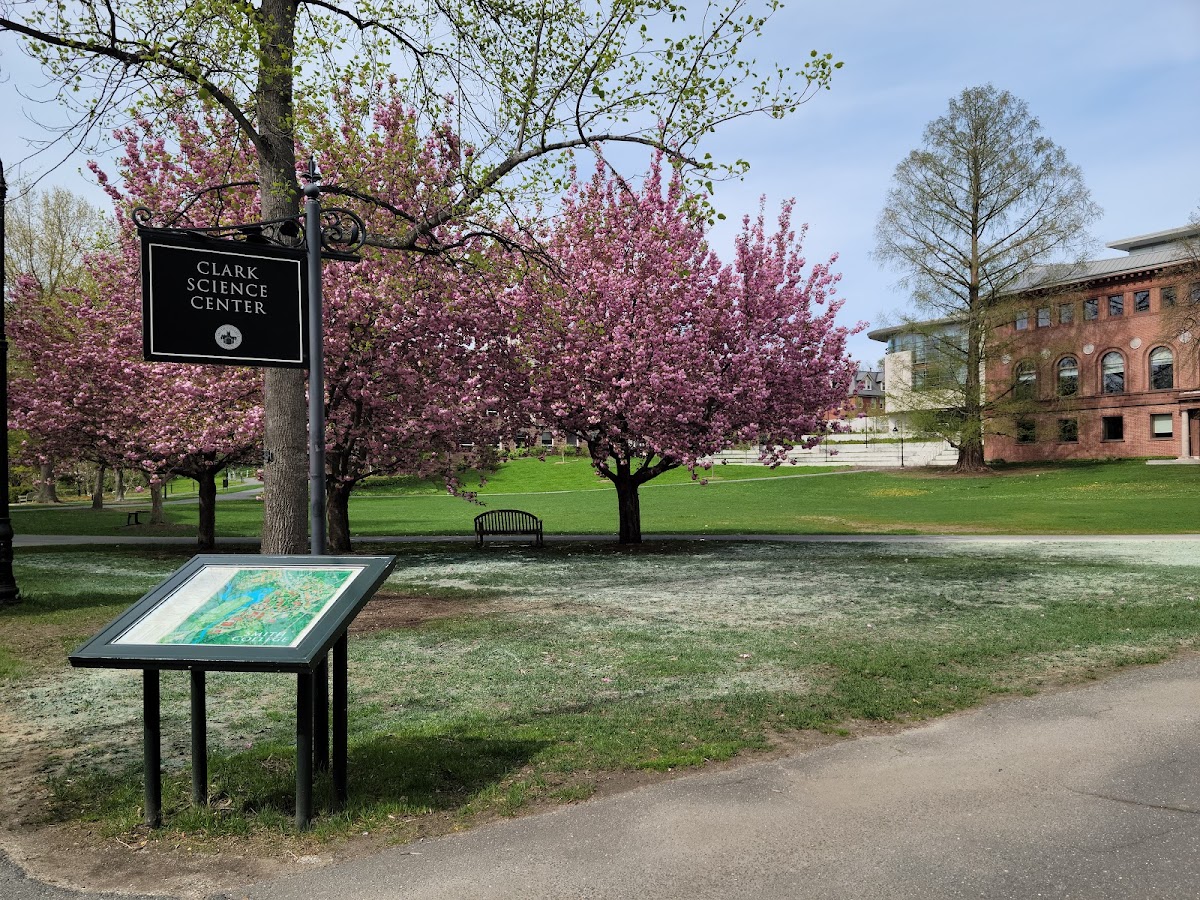 Smith College photo 1