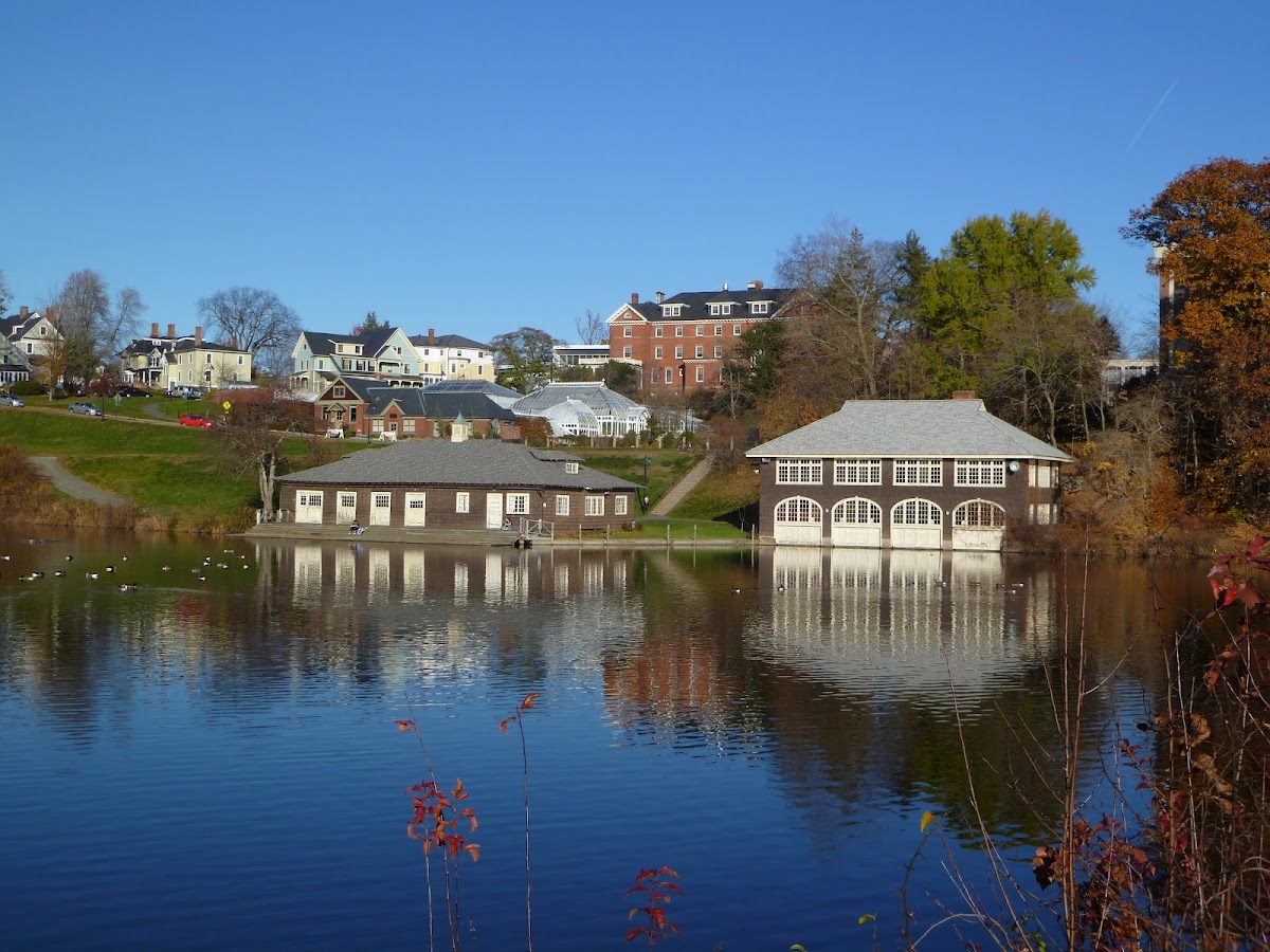 Smith College photo 7