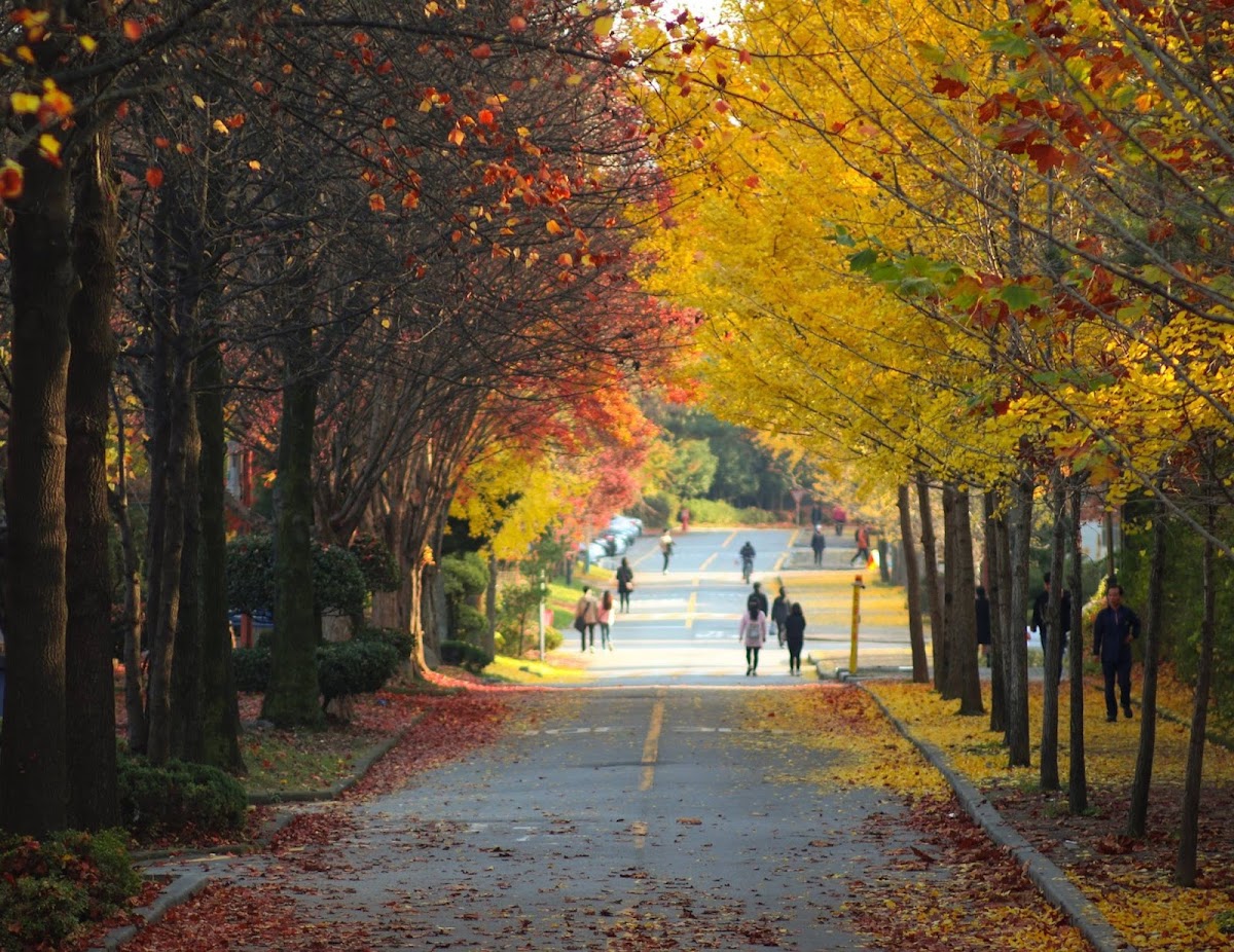 Chonnam National University photo 9