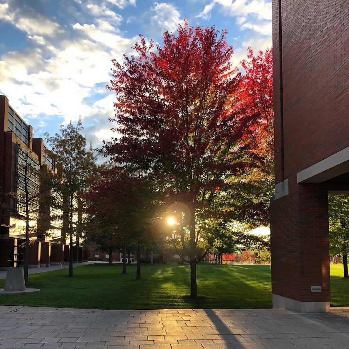 Ontario Institute of Technology photo 7