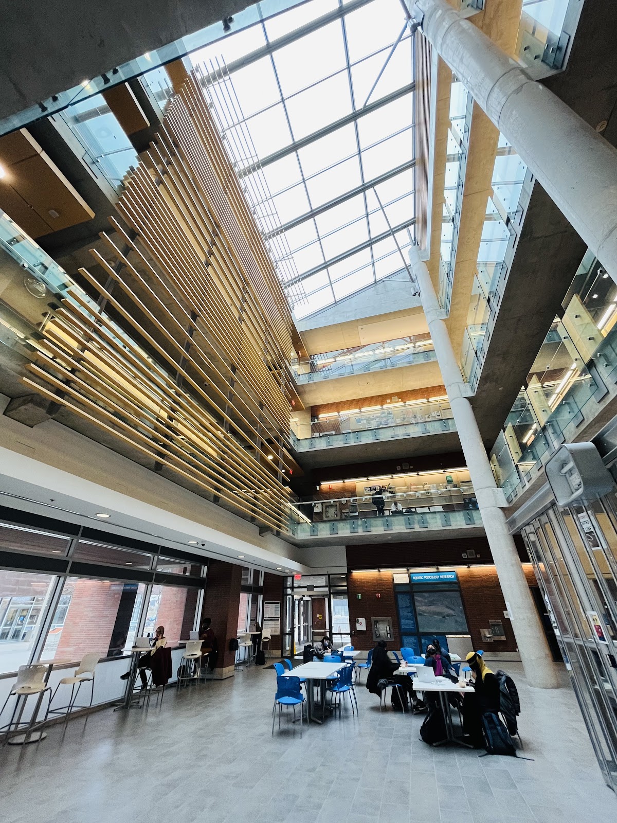 Ontario Institute of Technology photo 9