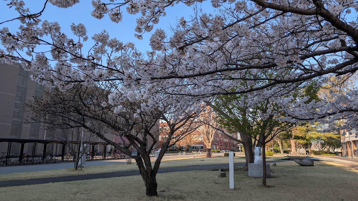 Utsunomiya University photo 2