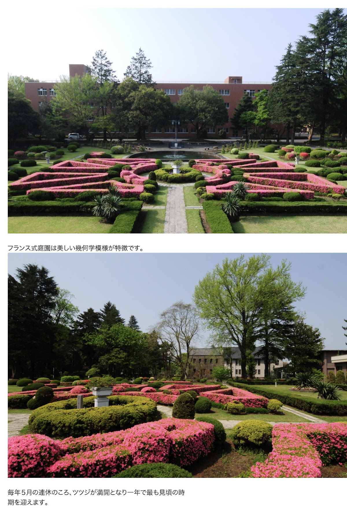 Utsunomiya University photo 9