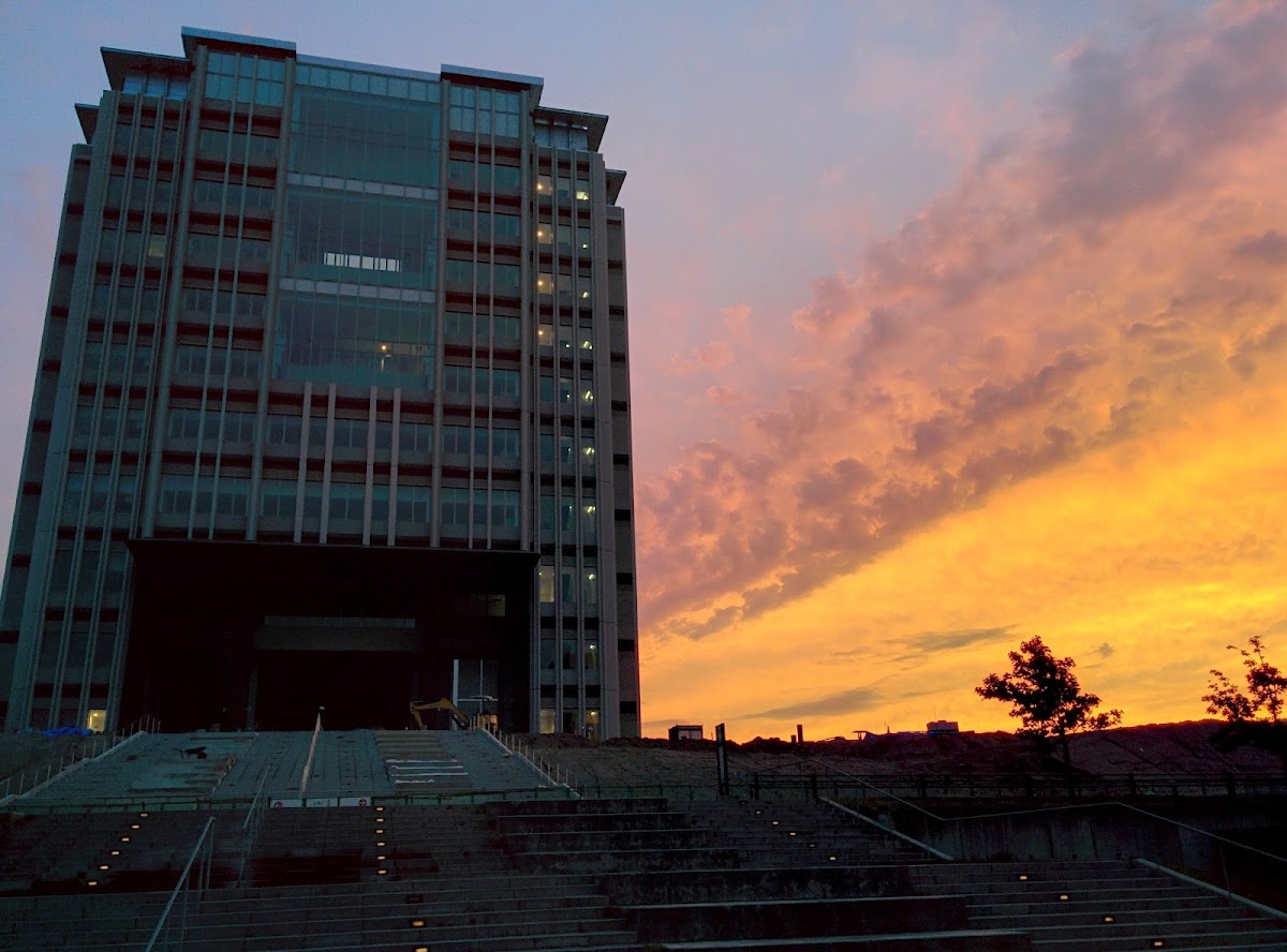 Kyushu University photo 1