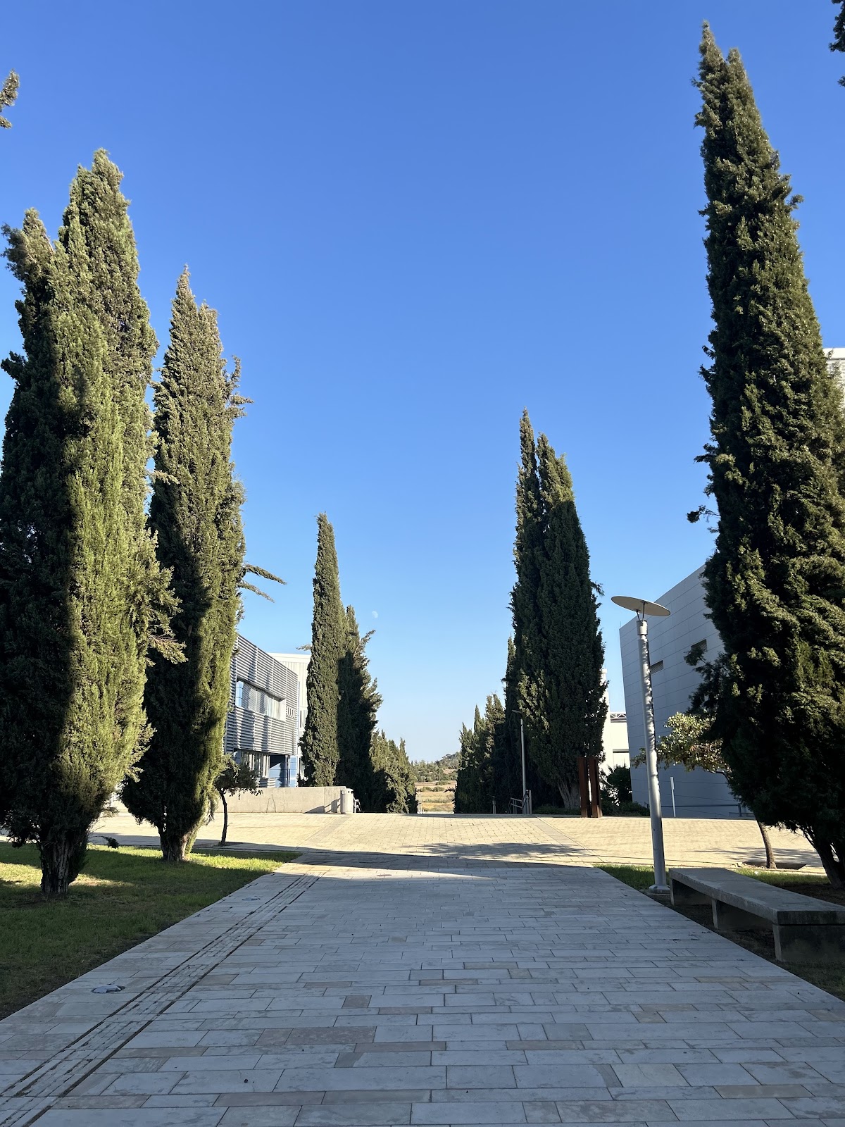 University of Cyprus photo 9