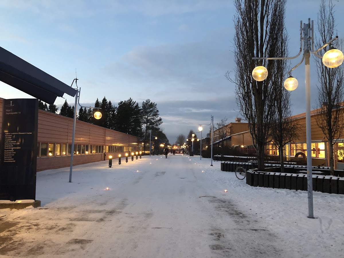 Luleå University of Technology photo 6