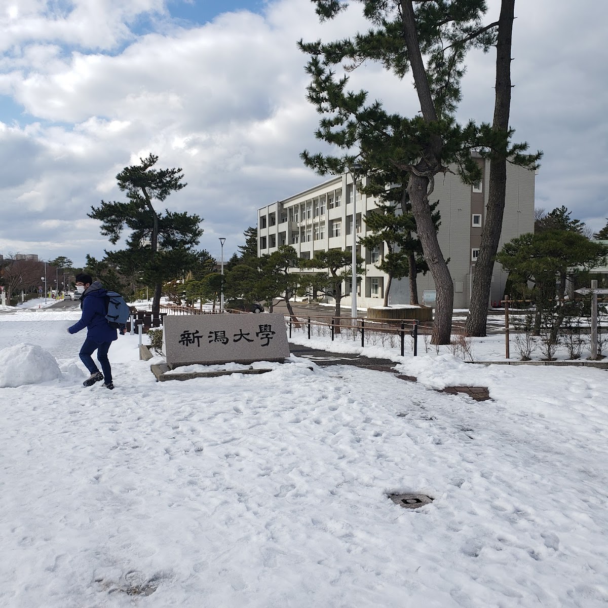 Niigata University photo 7