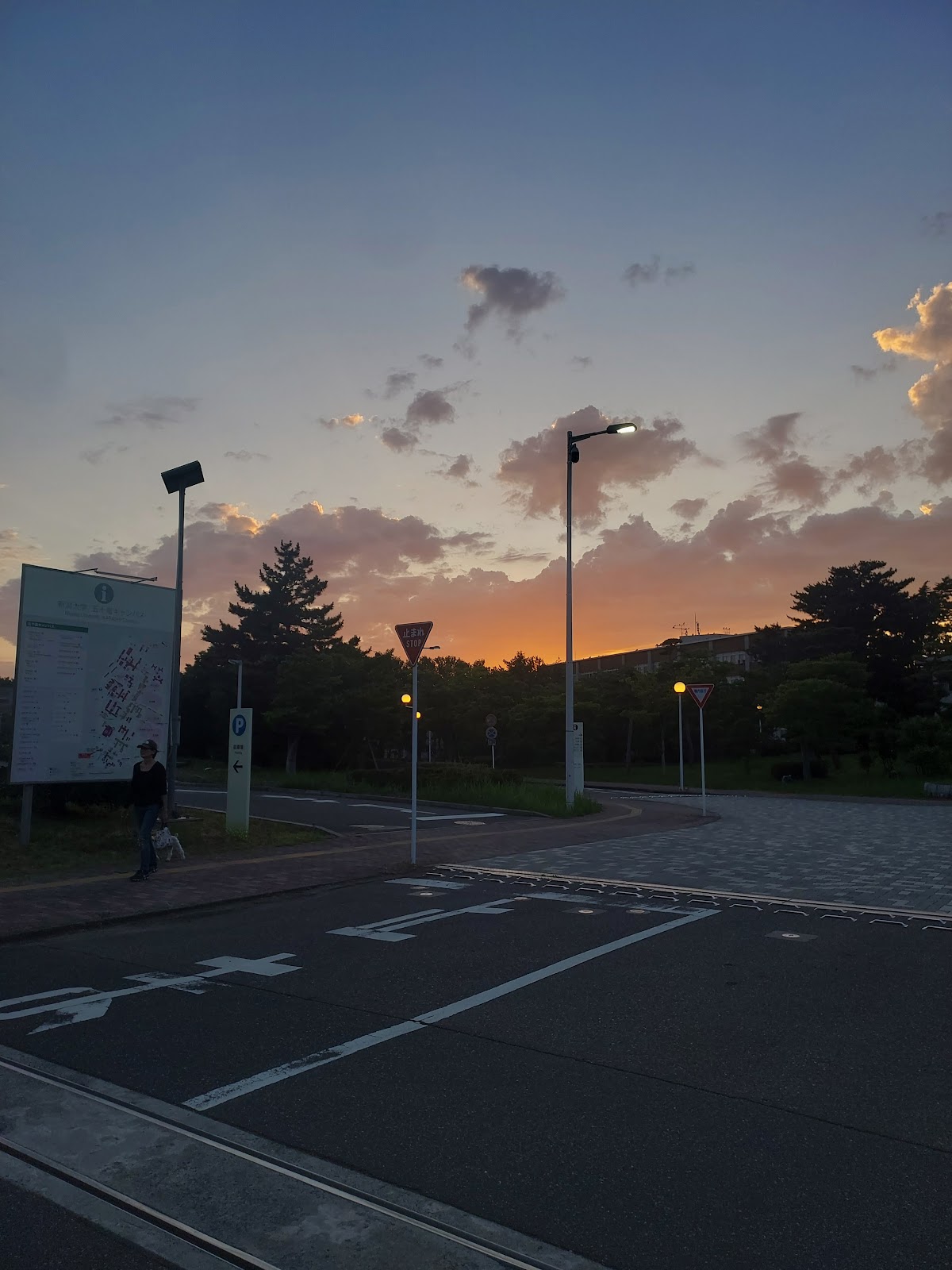 Niigata University photo 8
