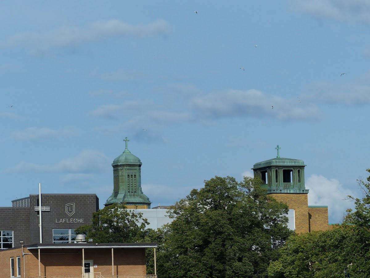 Collège Laflèche photo 5