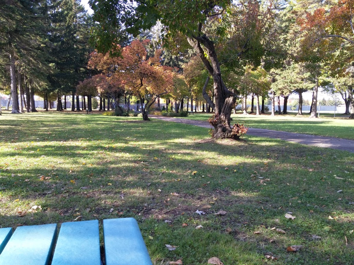 Collège Laflèche photo 7