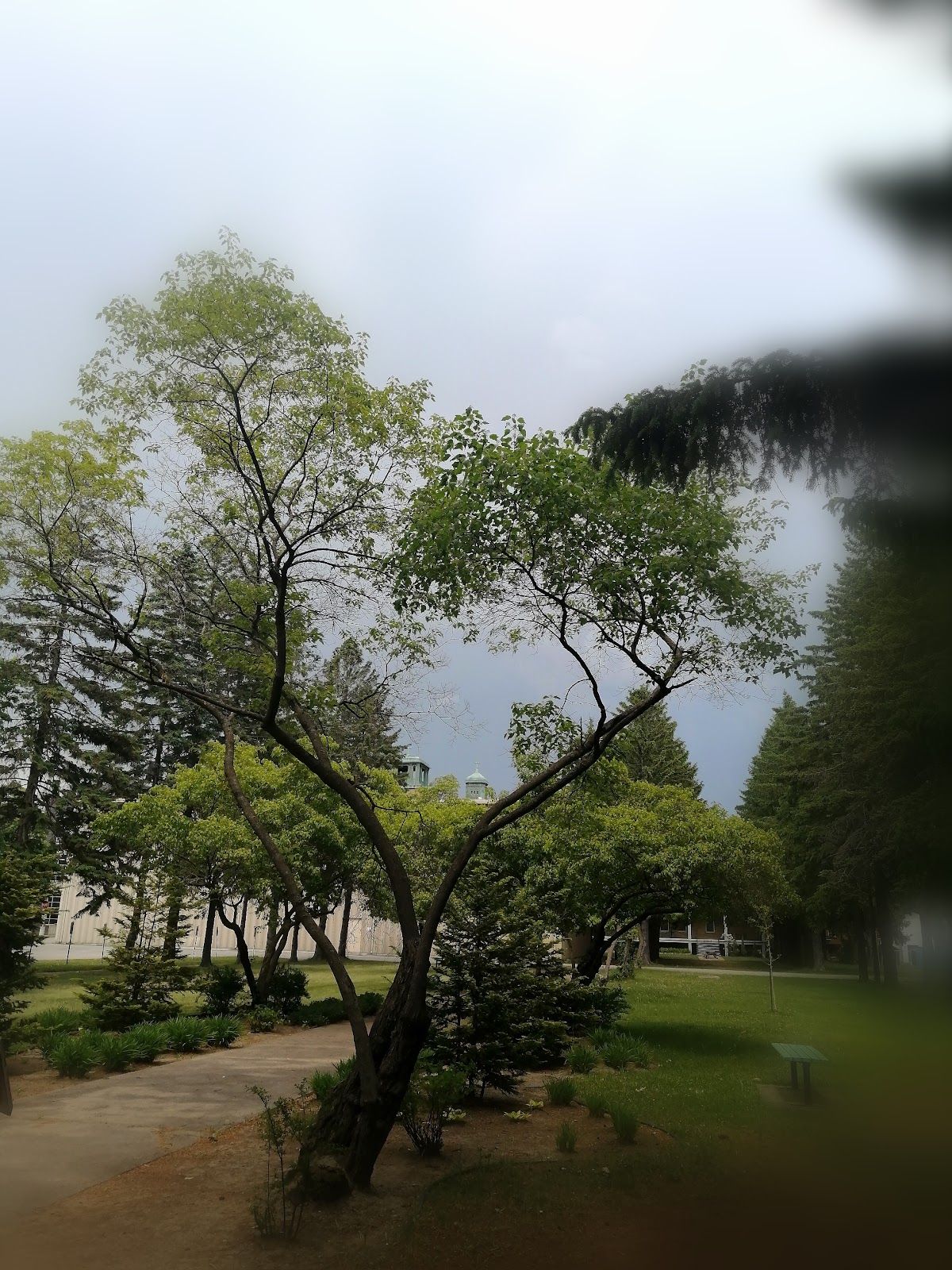 Collège Laflèche photo 9