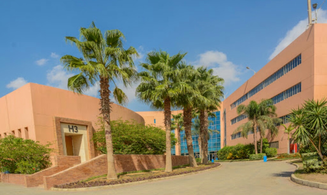 German University in Cairo photo 1