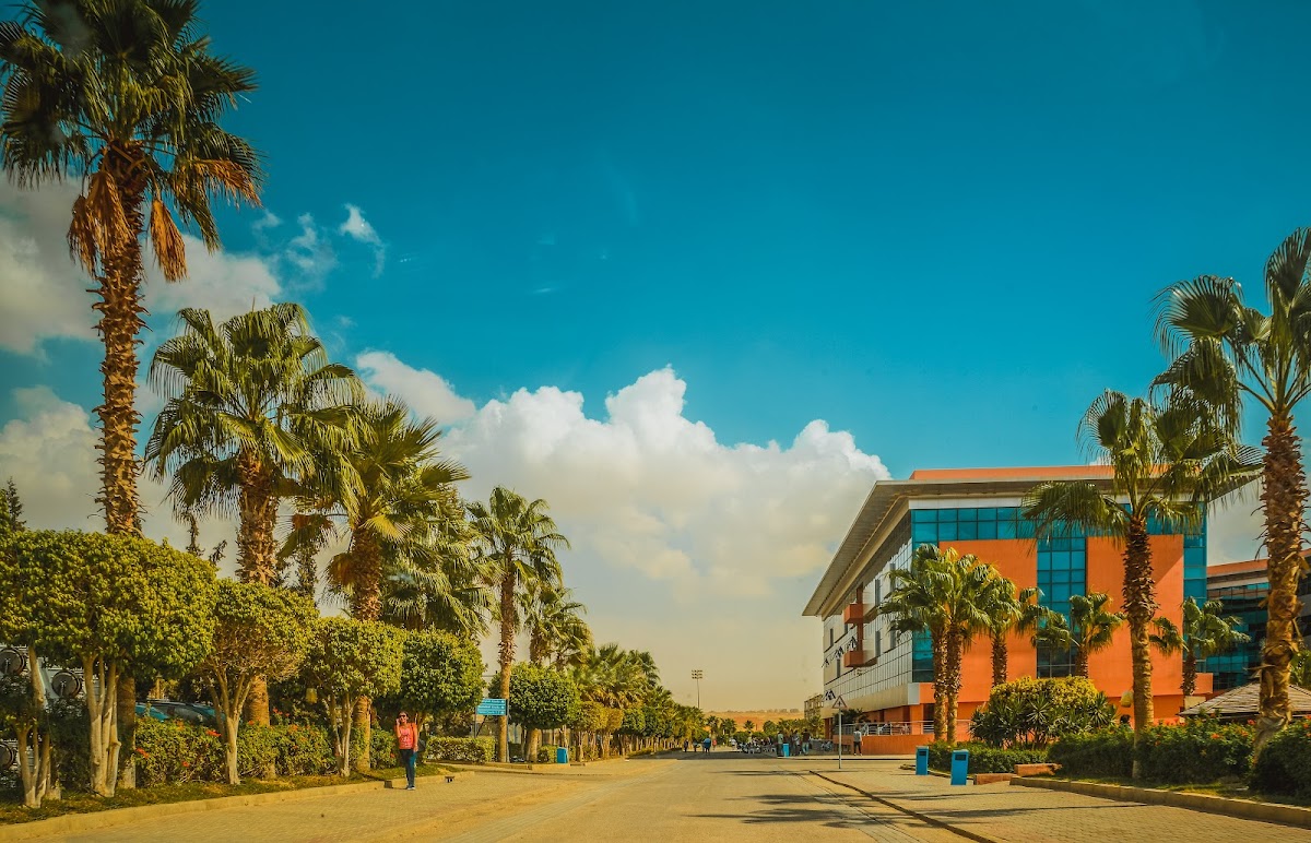 German University in Cairo photo 2