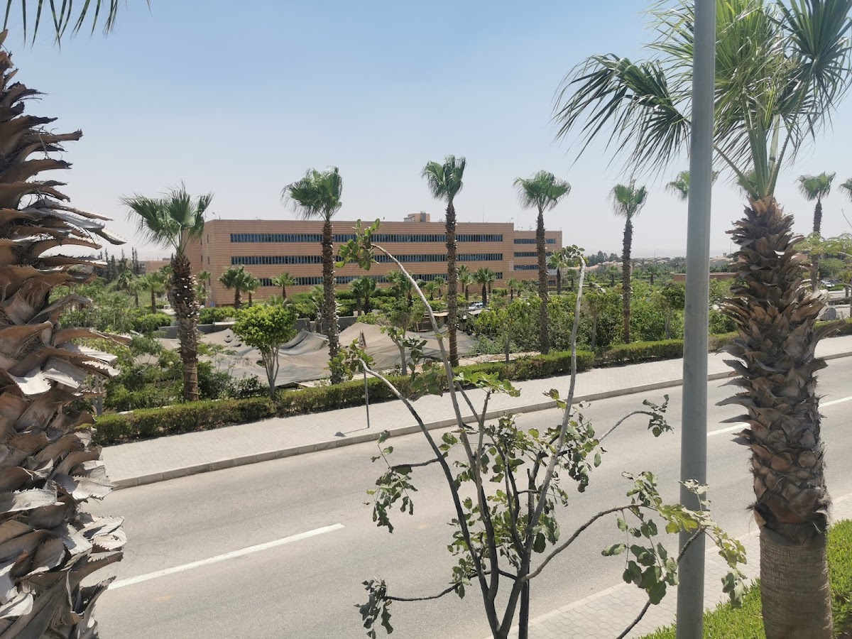 German University in Cairo photo 8