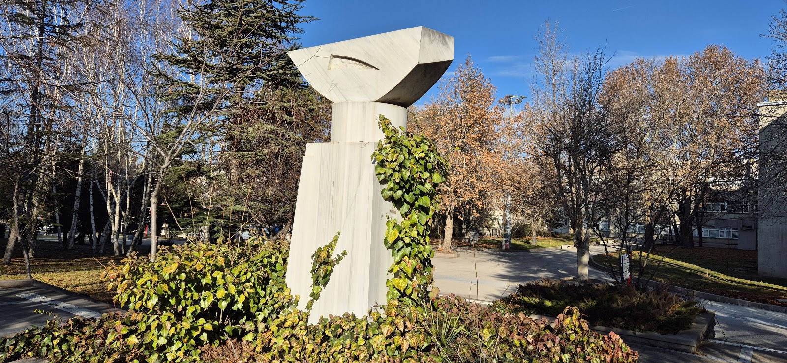 Hacettepe University