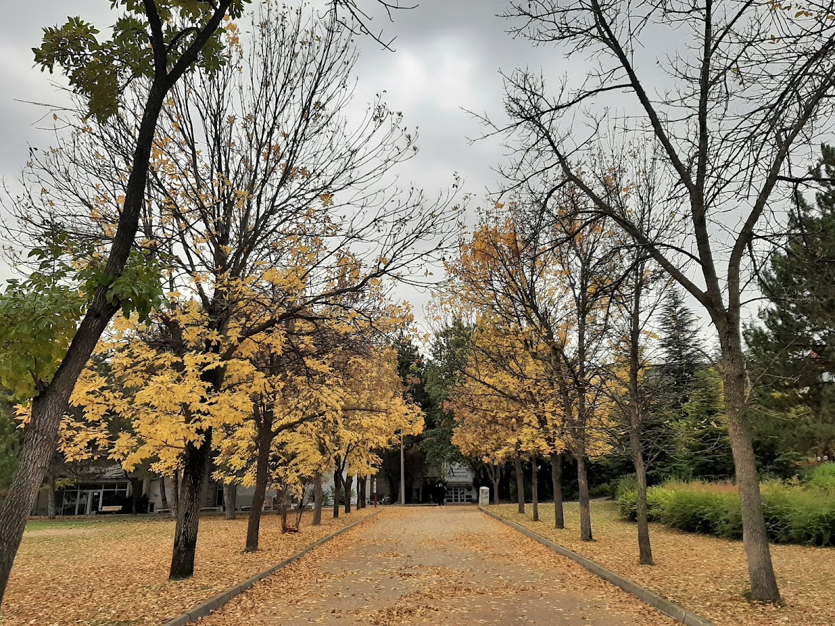 Hacettepe University photo 6