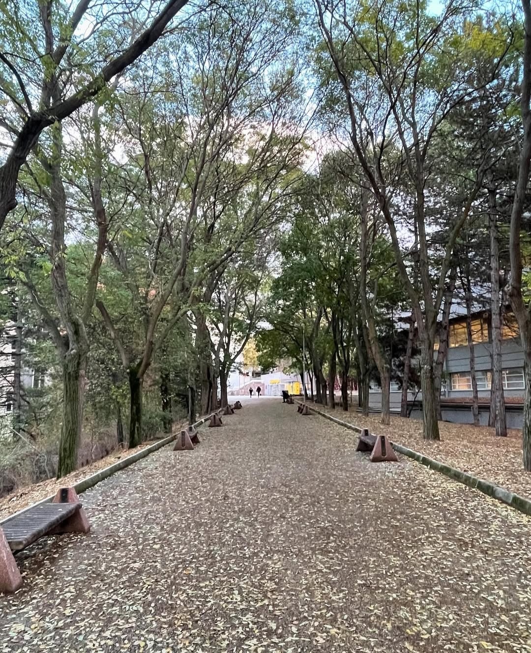 Hacettepe University photo 7