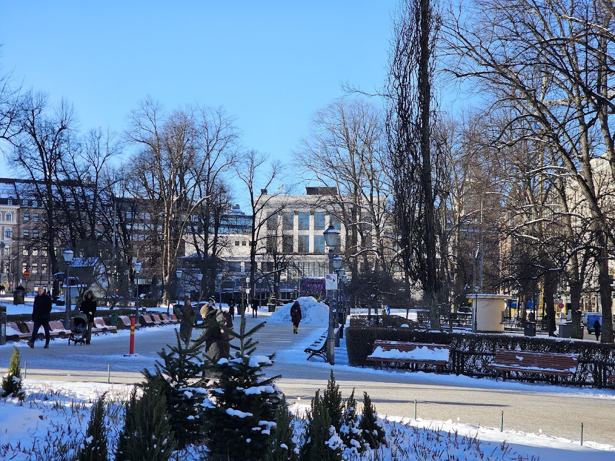 University of Helsinki photo 7