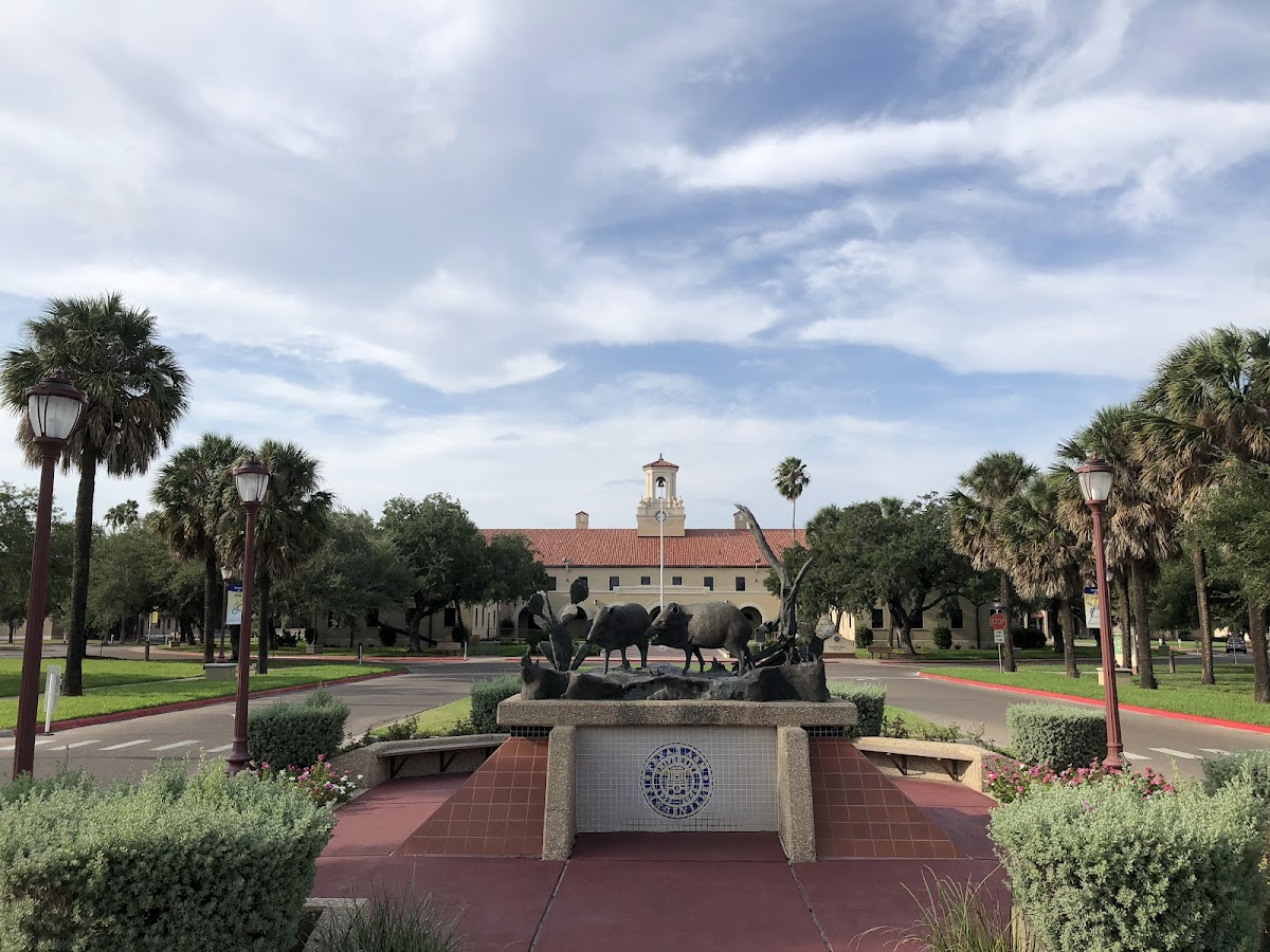 Texas A&M Kingsville photo 5