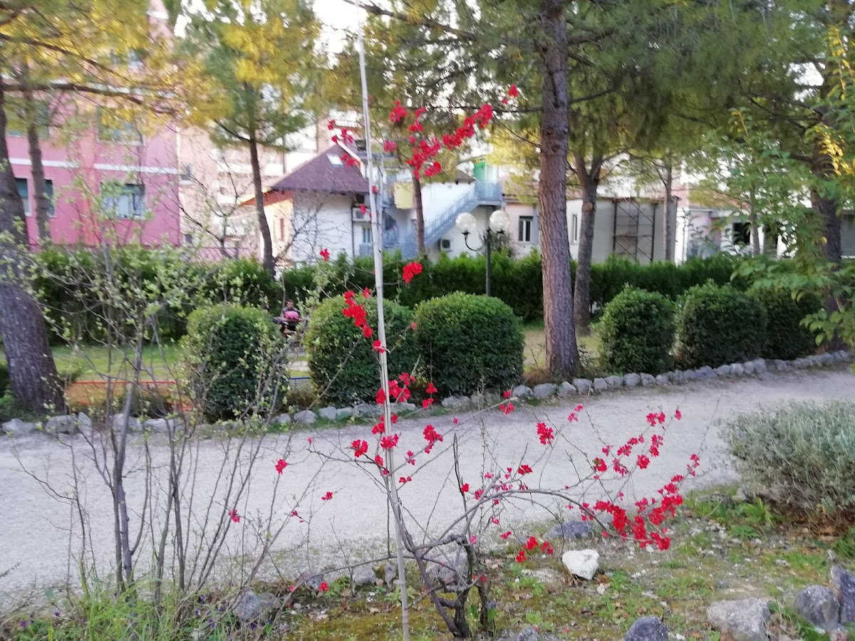 University of Chieti-Pescara photo 2