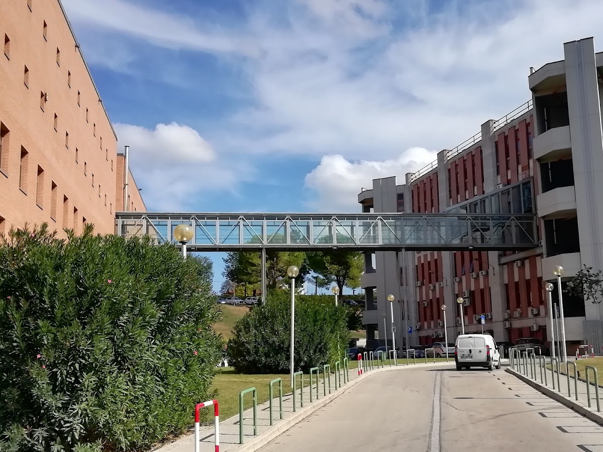 University of Chieti-Pescara photo 3