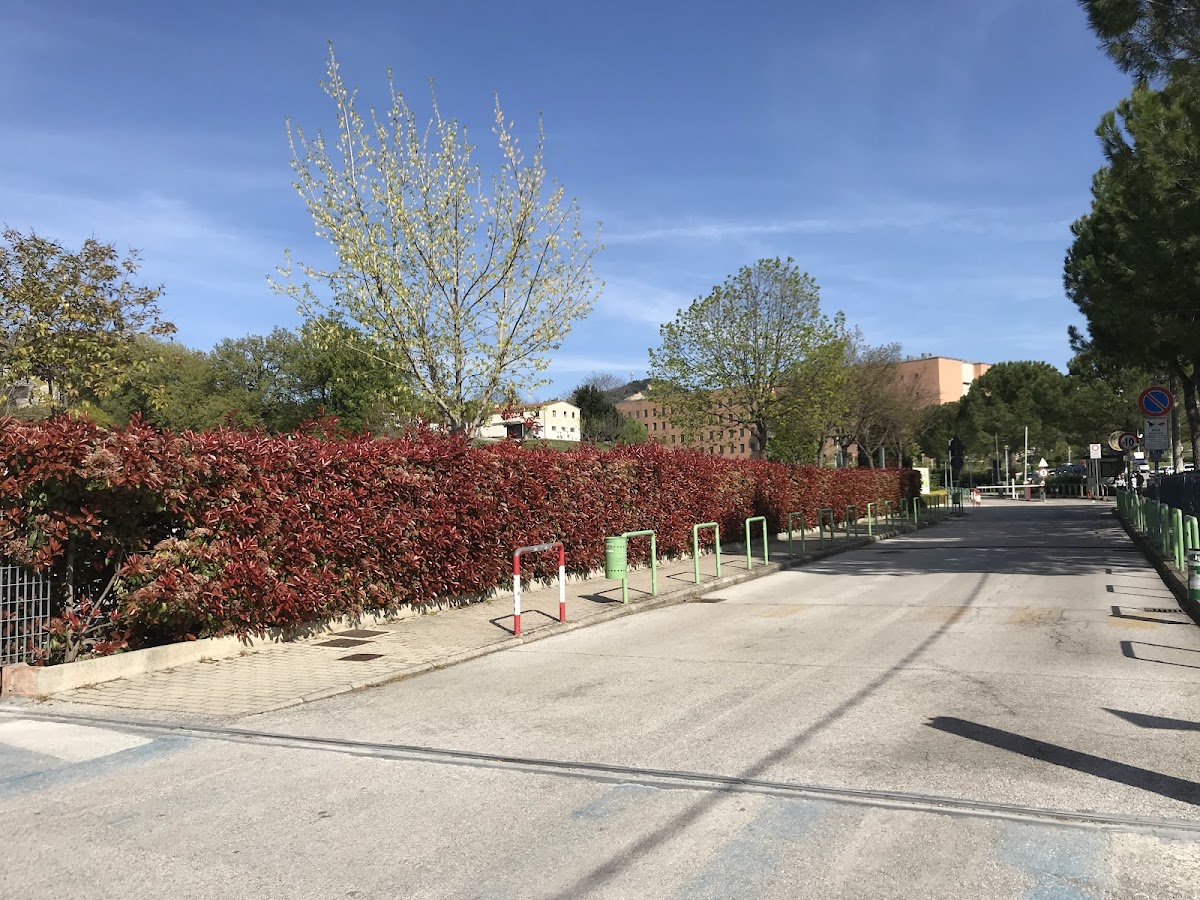 University of Chieti-Pescara photo 4