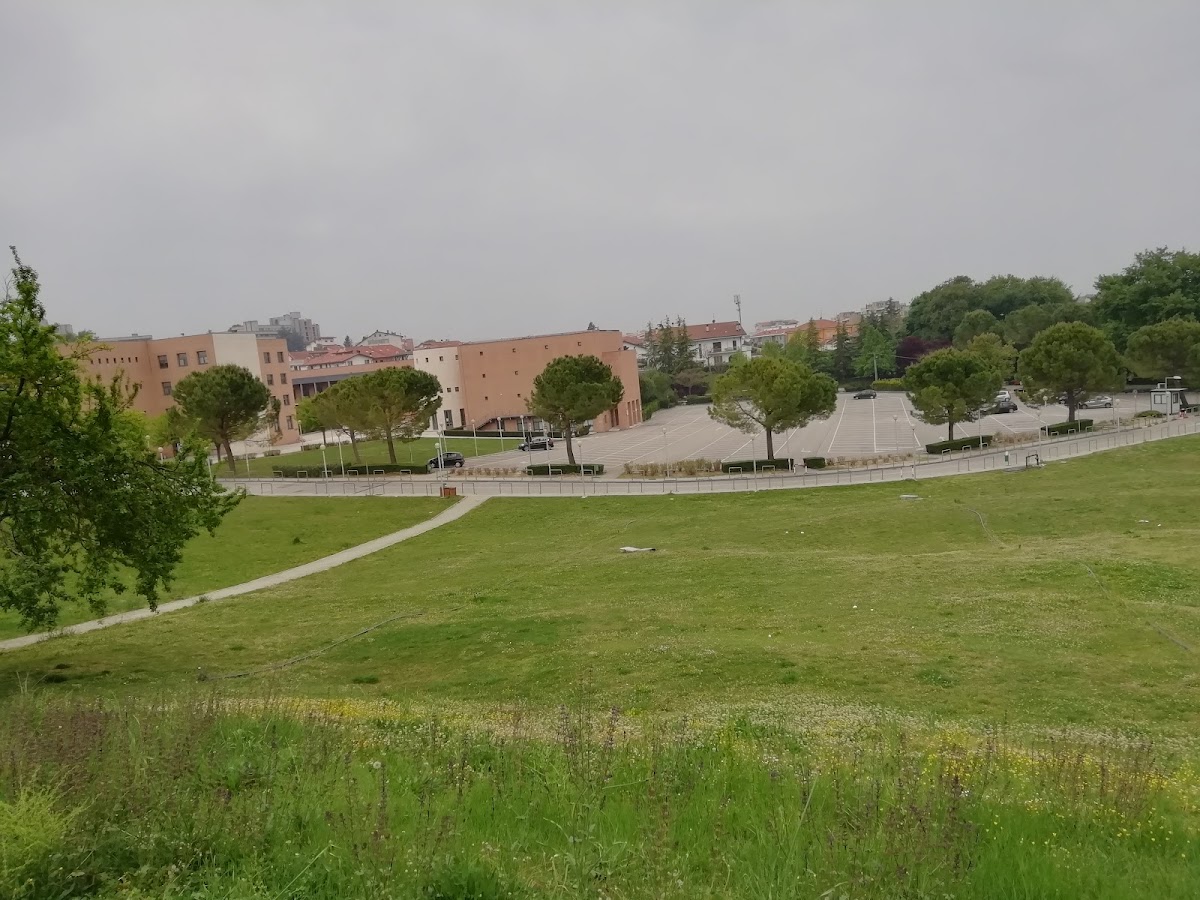 University of Chieti-Pescara photo 5